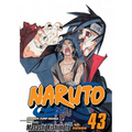 Naruto, Vol. 43 - Paperback