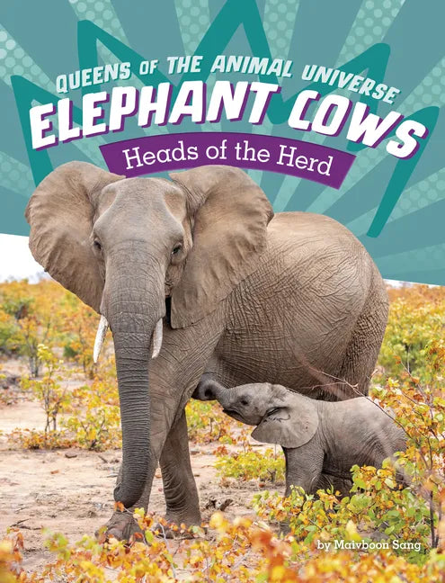 Elephant Cows: Heads of the Herd - Hardcover