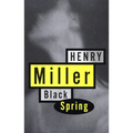 Black Spring - Paperback