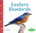 Eastern Bluebirds - Library Binding