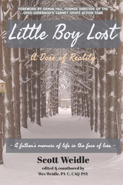 Little Boy Lost: A Dose of Reality - Paperback