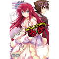 High School DXD, Vol. 4 - Paperback