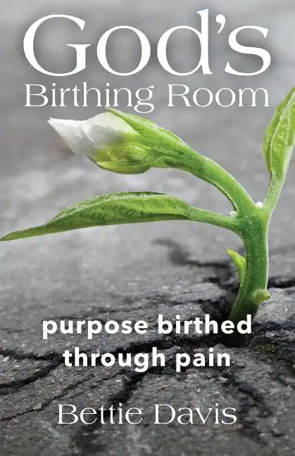 God's Birthing Room: Purpose Birthed Through Pain - Paperback