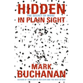 The Hidden in Plain Sight: The Secret of More - Paperback