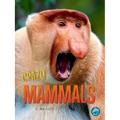 Crazy Mammals - Hardcover