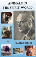 Animals in the Spirit World - Paperback