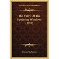 The Valley Of The Squinting Windows (1920) - Paperback