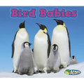 Bird Babies - Paperback