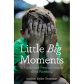Little Big Moments: 51 Playful and Piercing Lessons about Parenting - Paperback