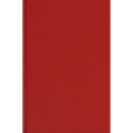 The Unitary Executive Theory: A Danger to Constitutional Government - Hardcover