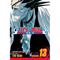 Bleach, Vol. 13 - Paperback