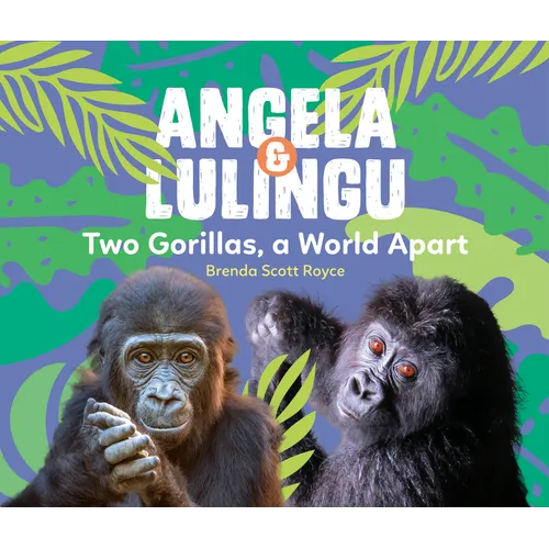 Angela & Lulingu: Two Gorillas, a World Apart - Hardcover