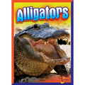 Alligators - Hardcover