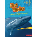 Blue Whales: Nature's Biggest Mammal - Paperback