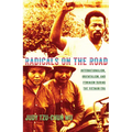 Radicals on the Road: Internationalism, Orientalism, and Feminism During the Vietnam Era - Paperback