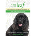 Dog Named Leaf: The Hero from Heaven Who Saved My Life - Paperback