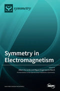 Symmetry in Electromagnetism - Hardcover