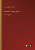 When the Sleeper Wakes: in large print - Paperback