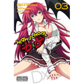 High School DXD, Vol. 3: Volume 3 - Paperback