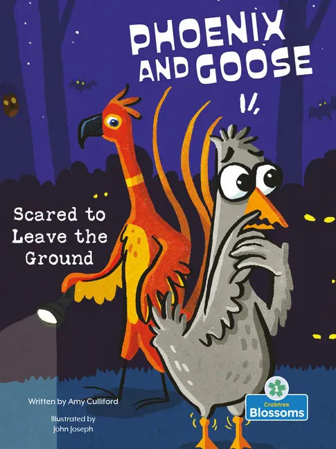 Scared to Leave the Ground - Library Binding