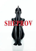 SheProv - Paperback