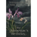 The Amnesiac's Birthday - Paperback