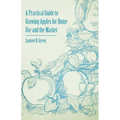 A Practical Guide to Growing Apples for Home Use and the Market - Paperback