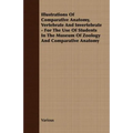 Illustrations of Comparative Anatomy, Vertebrate and Invertebrate - For the Use of Students in the Museum of Zoology and Comparative Anatomy - Paperback