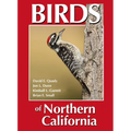 Birds of Northern California - Paperback