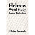 Hebrew Word Study: Beyond the Lexicon - Paperback