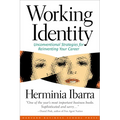 Working Identity: Unconventional Strategies for Reinventing Your Career - Paperback