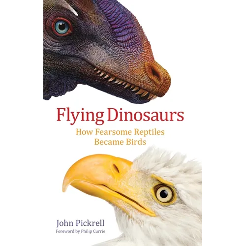 Flying Dinosaurs: How Fearsome Reptiles Became Birds - Hardcover
