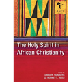 The Holy Spirit in African Christianity - Paperback