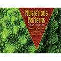 Mysterious Patterns: Finding Fractals in Nature - Paperback
