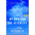 My Son and the Afterlife: Conversations from the Other Side - Paperback