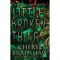 Little Broken Things - Paperback