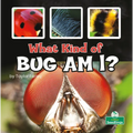 What Kind of Bug Am I? - Paperback