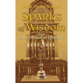 Sparks of Wisdom: from Rabbi Yehonatan Eybeshitz - Hardcover