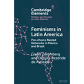 Feminisms in Latin America - Paperback