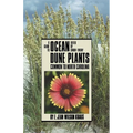 Guide to Ocean Dune Plants Common to North Carolina - Paperback
