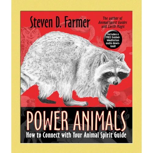 Power Animals: How to Connect with Your Animal Spirit Guide - Paperback