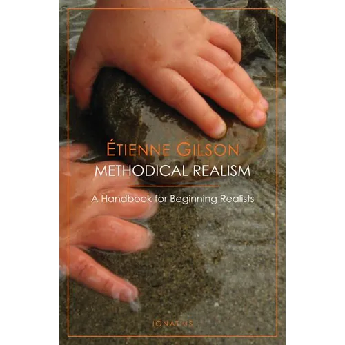 Methodical Realism: A Handbook for Beginning Realists - Paperback