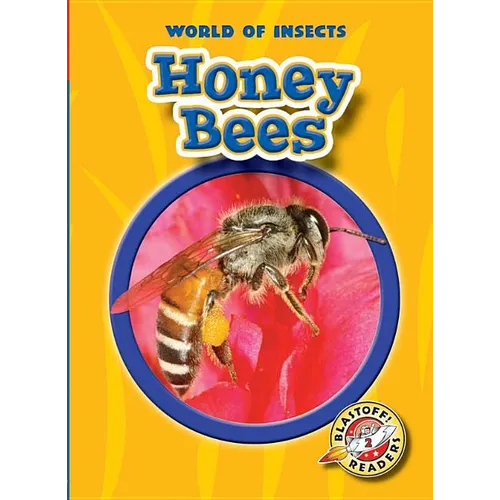 Honey Bees - Paperback