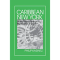 Caribbean New York: Individualism and Democratic Culture - Paperback