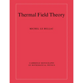 Thermal Field Theory - Paperback