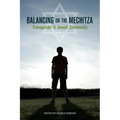 Balancing on the Mechitza: Transgender in Jewish Community - Paperback