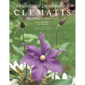 An Illustrated Encyclopedia of Clematis - Paperback