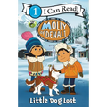 Molly of Denali: Little Dog Lost - Paperback