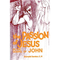 The Passion of Jesus in the Gospel of John: Volume 4 - Paperback