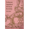 The Illustrated Compendium of Soft Fruit and Berry Growing - Paperback